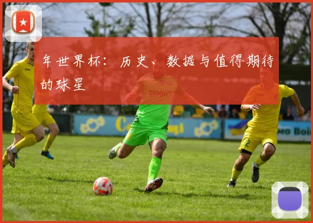 年世界杯：历史、数据与值得期待的球星