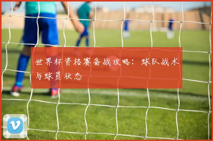 世界杯资格赛备战攻略：球队战术与球员状态