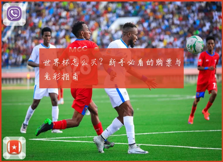 世界杯怎么买？新手必看的购票与竞彩指南